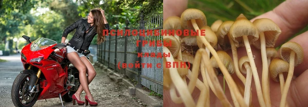 MESCALINE Покров