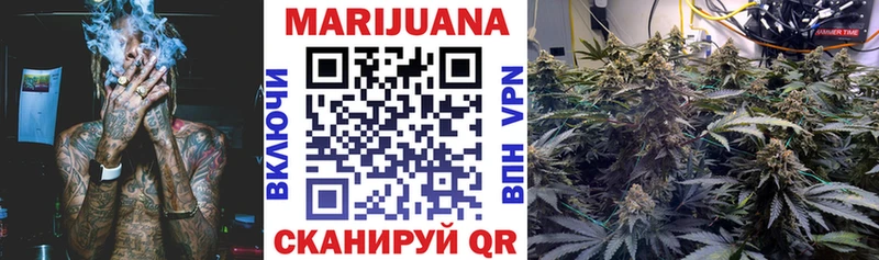 Бошки марихуана сатива  Купить закладки  Цоци-Юрт